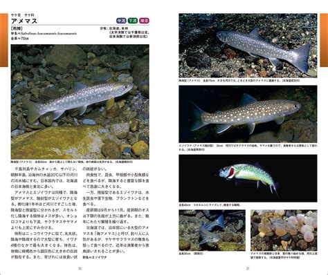 日本魚種類|魚類図鑑/日本国内の淡水魚・名前検索